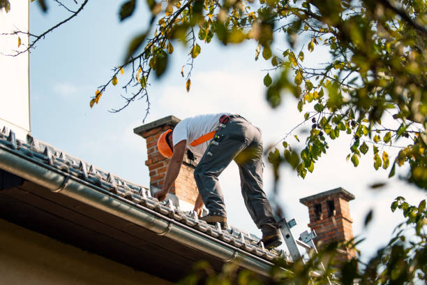 Roof Gutter Cleaning in Lemay, MO